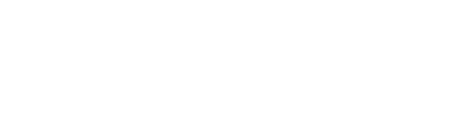 SaxFDM Logo