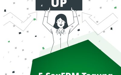 WrapUp SaxFDM Tagung